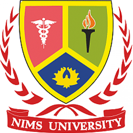 NIMS University